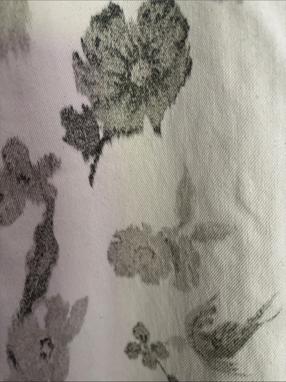 Scotch & Soda Cream Straight Leg Jeans with Olive Floral Print - Picture 7 of 8